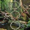 Reptiles Climbing Rings Toy Tanks Playgrounds Equipment Exercise Enriching Toy For Lizards Terrarium Habitats Decoration