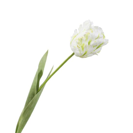 Simulovaný tulipánový květ Umělý tulipán s dlouhým stonkem Opakovaně použitelný Nenáročný Umělý tulipán pro květinové aranžmá Domácí Kancelář Svatba Dekorace