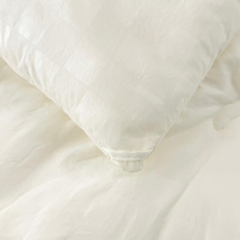 Nan Fang Sheng Huo Seidenprotein Jacquard Winterdecke