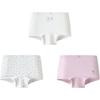 Mini Balabala Girls' Cotton Underwear (3-Pack)