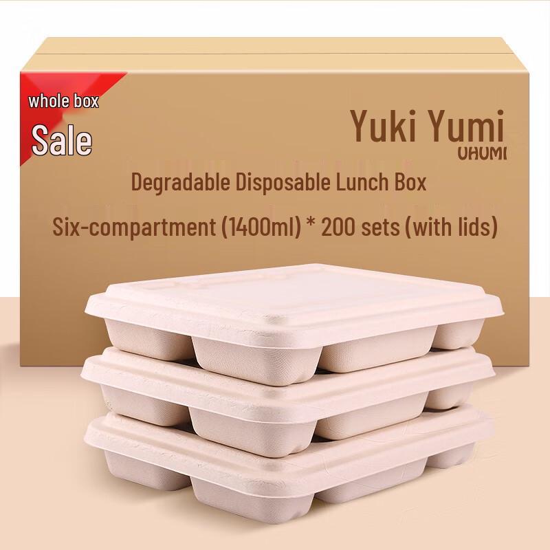 Eco-Friendly 6-Compartment Disposable Lunch Box