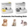Auto Power Off Automatic Pet Feeding Dish Gravity Design Water Dispenser  for Dogs and Cats