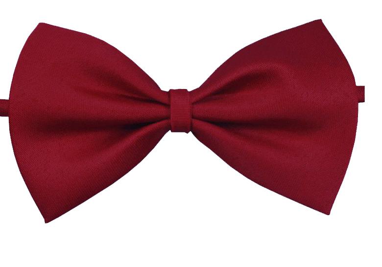 Ragazzo Ragazza Animale Domestico Papillon Papillon a Farfalla Monocolore Matrimonio Nuovo Regalo Papillon Accessori per Collo Novità CA44