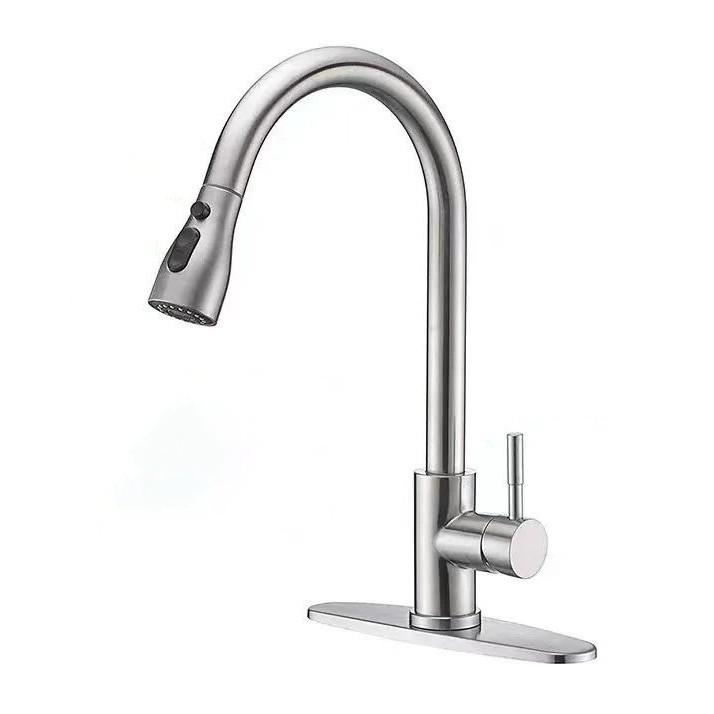 Rotatable Kitchen Faucet: Hot/Cold, 304 Stainless Steel, Pull-Out Retractable