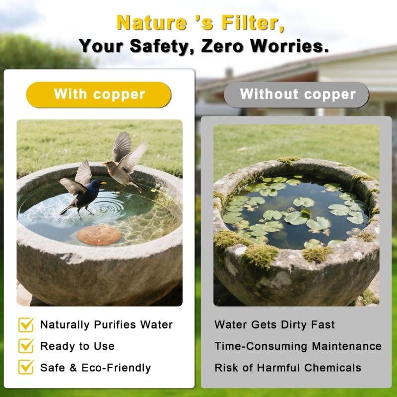 Coppers Cleaning Plate For Birdbaths Eliminates Frequent Maintenance Saves 120 Minutes Monthly