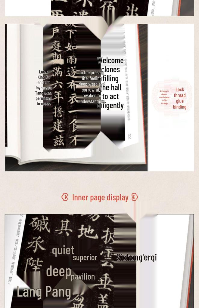 Yan Zhenqing's Stele Collection: Pagoda of Many Treasures, Diligent Rites, and Three Drafts of Running Script - 3 Volumes
