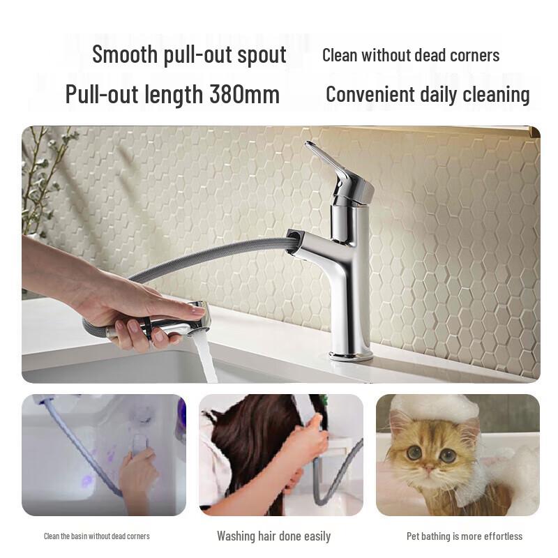 KOHLER Bingo Pull-Out Swivel Basin Faucet