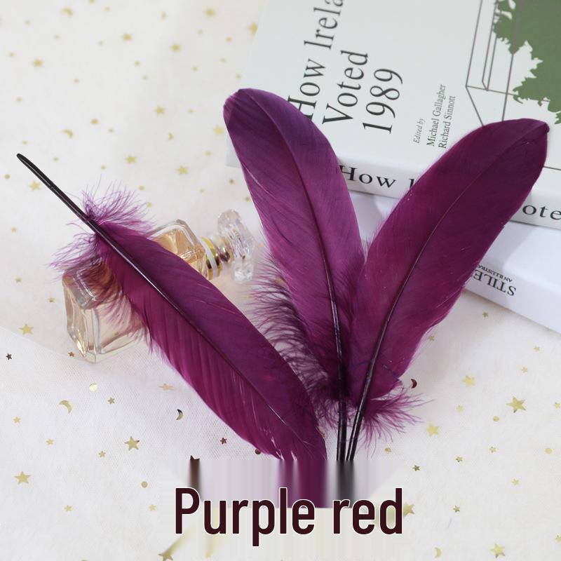 Barevná barvená velká husí pera pro DIY řemesla, ručně vyráběné dekorace a projekty pro mateřské školy