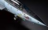 Tamiya 1/48 Masterpiece Aircraft Series No. 118 U.S. Navy Grumman F-14D Tomcat Plastic Model Kit 61118