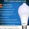 Voice-Activated Motion Sensor Light Bulb for Stairs and Hallways
