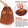 Funny Dog Lion Mane Dog Costumes Lion Wig with Tail Pets Party Supplies
