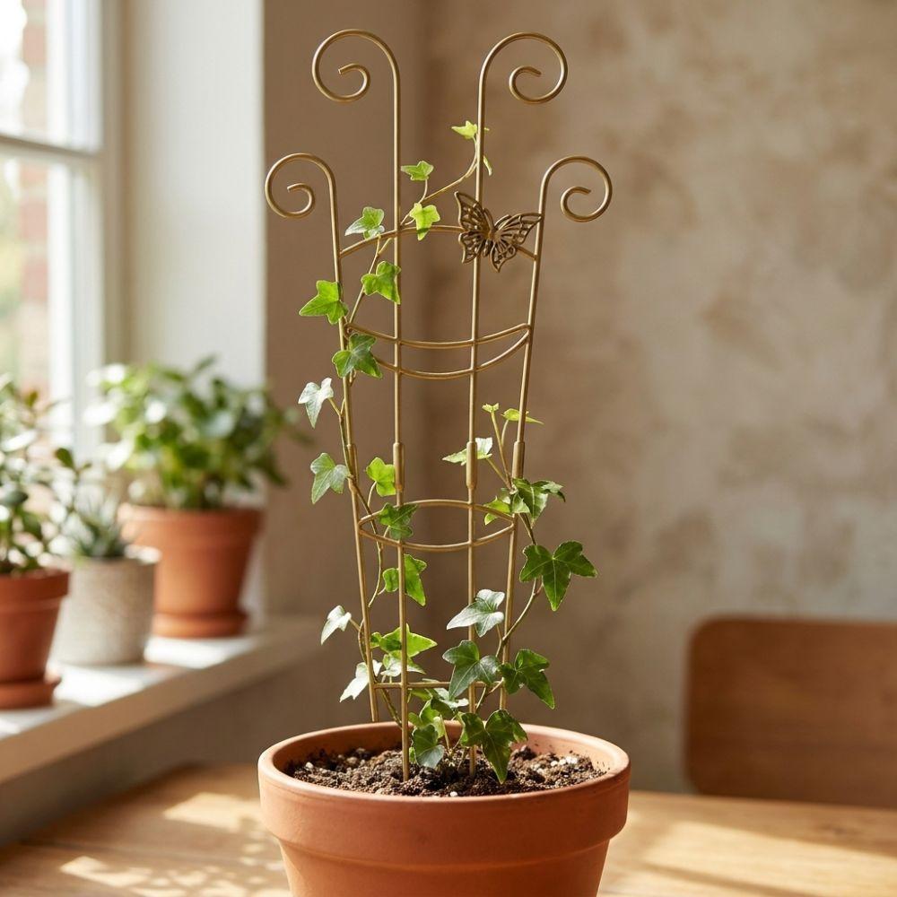 Butterfly Shaped Plant Climbing Trellis Strong Load Bearing Vine Climbing Rack Potted Plants