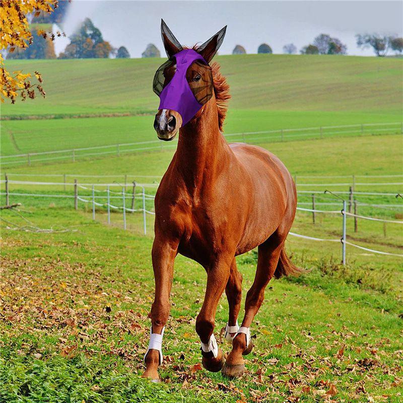 Horse Colors 5 Mask With Ears Comfort Fit Mesh Trail Pasture Sun Protection Uv