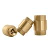 Convenient Water Pipelines Solution 3/8"/1/2"/3/4" Threaded Check Valves Water Backflow Control Valves Simple Installs