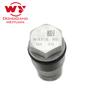 Pressure Limiting Valve 1110010024,for ,Pressure Relief Valve,Common Rail Diesel Fuel Engine Injecton System Part,Brand New