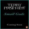 Small Gods by Terry Pratchett Paperback Book 9781804990193