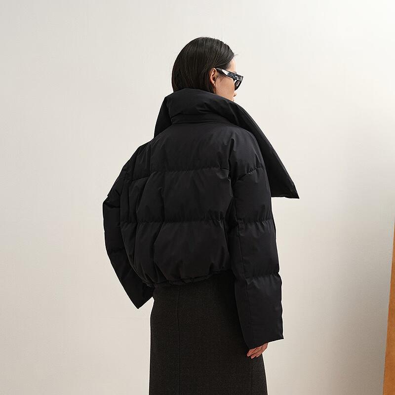 Less 2025 Winter Loose Fit Stand Collar Short Goose Down Jacket