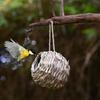Birds Nest Bird Cage Grass Egg Cage Bird House Outdoor Decorative Weaved Hanging Parrot Nest Houses Pet Bedroom
