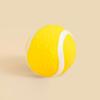 [Pet] Minge de latex
