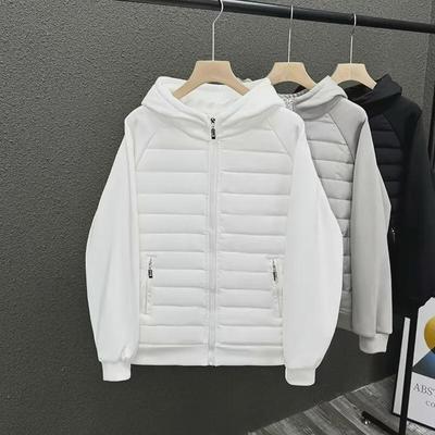 Veste Pull Léger à Capuche en Coton d'Hiver pour Homme