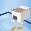 Automatic Fish & Turtle Feeder Smart Control Auto Timing Rectangle Design Indoor All Seasons Use NCI PET Luxury Durable ABS
