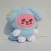 Stray Kids 2026 World Tour [RUN IT] Peluche SKZOO in Tasy Kpop Toy
