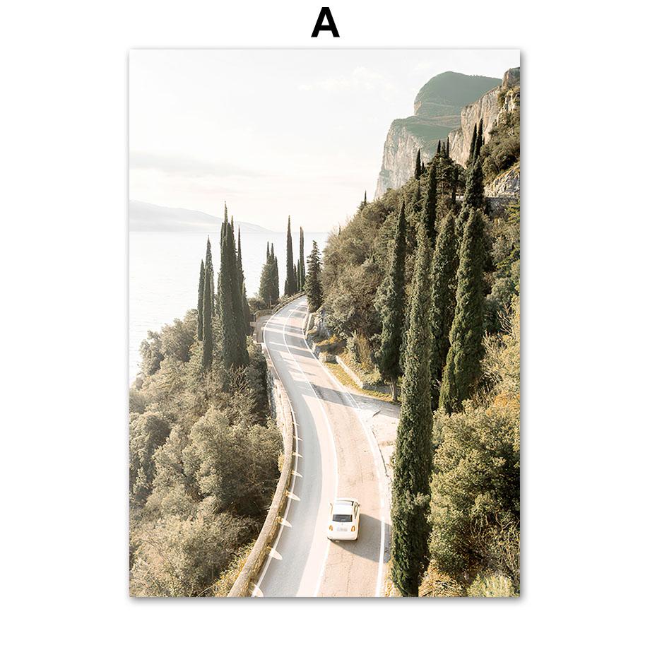 

Прибрежный город, дорога, велосипед, цветок кактуса, европейские городские постеры и принты, настенная живопись на холсте для гостиной, декоративные фотографии 30X40cm No Framed