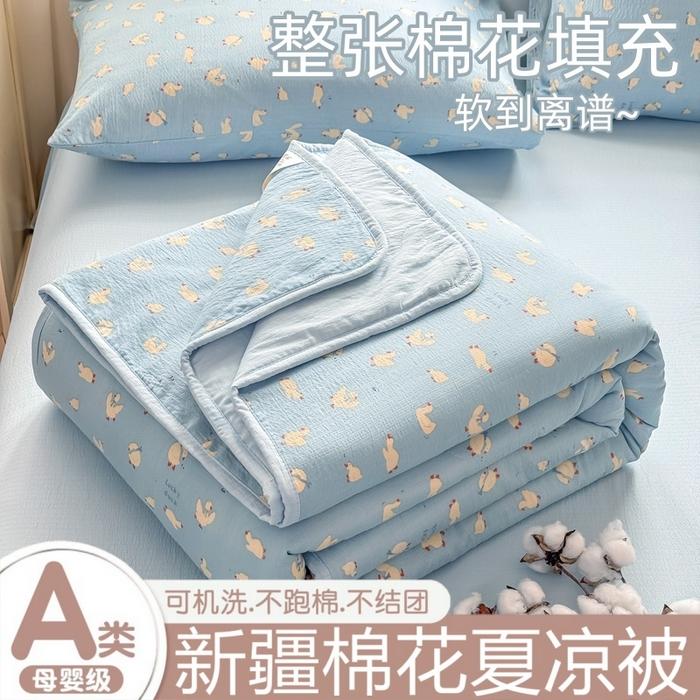 Small Fresh Printed Double-layer Yarn with Small Edging Xinjiang Cotton Summer Cool Quilt