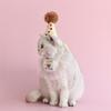 Small Pet Birthday Hat Summer Spring Carnivals Photography Dogs Birthday Hat with Sequins Tassels Hat for Celebration
