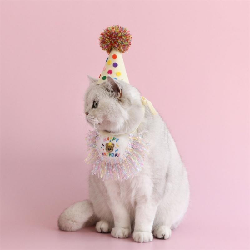 Small Pet Birthday Hat Summer Spring Carnivals Photography Dogs Birthday Hat with Sequins Tassels Hat for Celebration