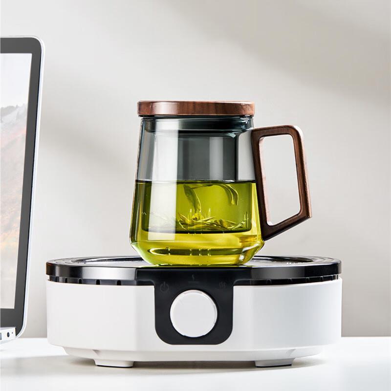 Shangqi Borosilicate Glass Tea Infuser Office Cup with Wooden Handle