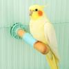 Bite Resistant Parrot Standing Pole Wear Resistant Bird Claw Grinding Rod  Claw Maintenance