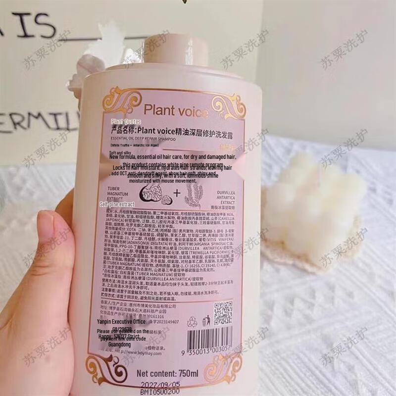 Plant Voice Essential Oil Refreshing Anti-Dandruff Shampoo