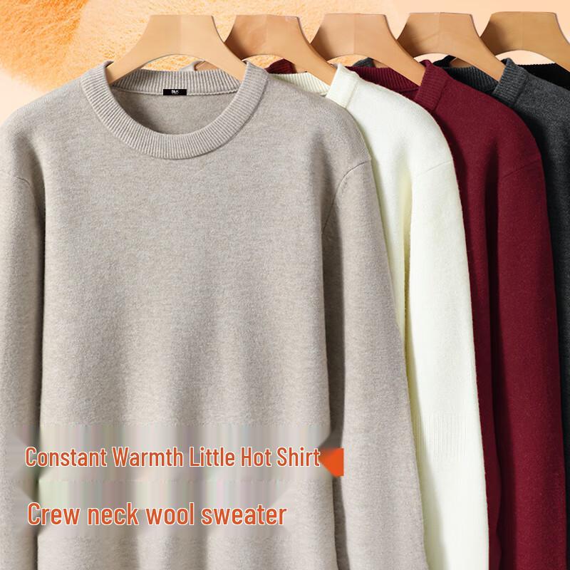 Baleno S&K Men's Heavyweight Round Neck Knit Sweater