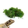 Dried moss for terrarium, naturally colored, 250g