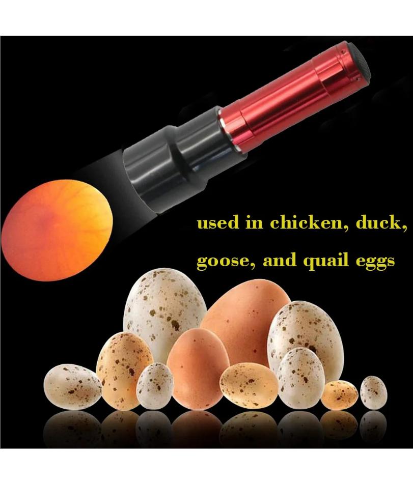 Kuluçka Makinesi Yumurta Test Cihazı Soğuk Işıklı Yumurta Işığı Yumurta Test Feneri 9 LED Ultra Parlak Kanatlı Hayvan Kuluçka Ekipmanı Tavuk Aleti