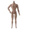 White/Normal/Tan Male Model Multi-Joints Action Figure Body 1/6 Male Doll  Replacement