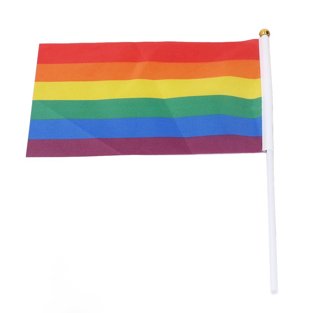 24Sets Mini Pride Flags Color Lasting Small Lightweight Gay Pride Flags for Festival Party Holiday Parading Decorations