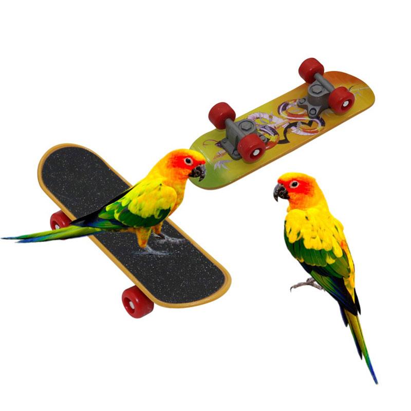 Parrot Intelligence Toys Mini Training Plastic Skateboard For Budgies Parakeet Growth Funny Grinding Claw Scooter