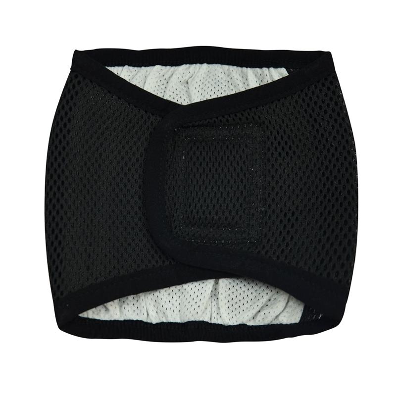 Male Dog Physiological Pants Solid Color Pet Politeness with Belt Anti Harassment Pants Dog Diaper