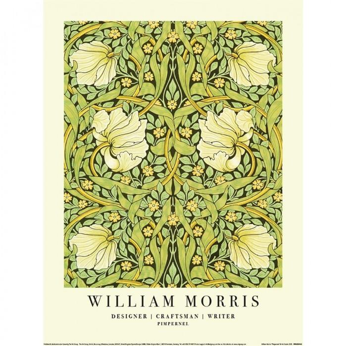 William Morris Pimpernel Druck
