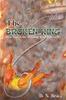 The Broken King by D. N. Bruce Hardback Book 9781398479463