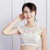 Autumn Women's Chiffon Fake Collar Ladies Detachable Lace Floral False Collar Blouse Top Women Doll Collars Clothes Decor