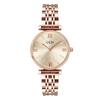 Trend Fashion Diamond Scale Steel Belt Ladies Watch Trend Waterproof Quartz Watch