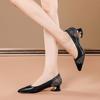Pointed Toe Splicing Color Women's Shoes With Medium Heels Ladies Pumps Spring and Autumn Elegant Casual Fashion Lastest 39 Shoe