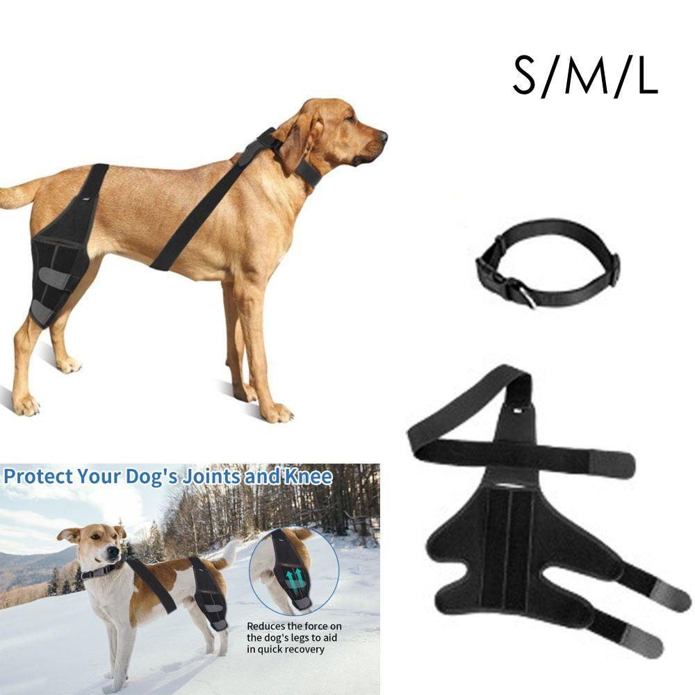 Verstellbare Hunde-Knieorthese Atmungsaktiver Knie-Wundschutz für Haustiere für Hinter- und Vorderbeine