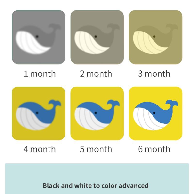 Newborn Infant Black White Visual Stimulation Flash Cards Early Educational Learning Toy