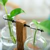 Minimalist Glass Vase with Wooden Stand for Pothos Plants – Hydroponic Desktop Ornament