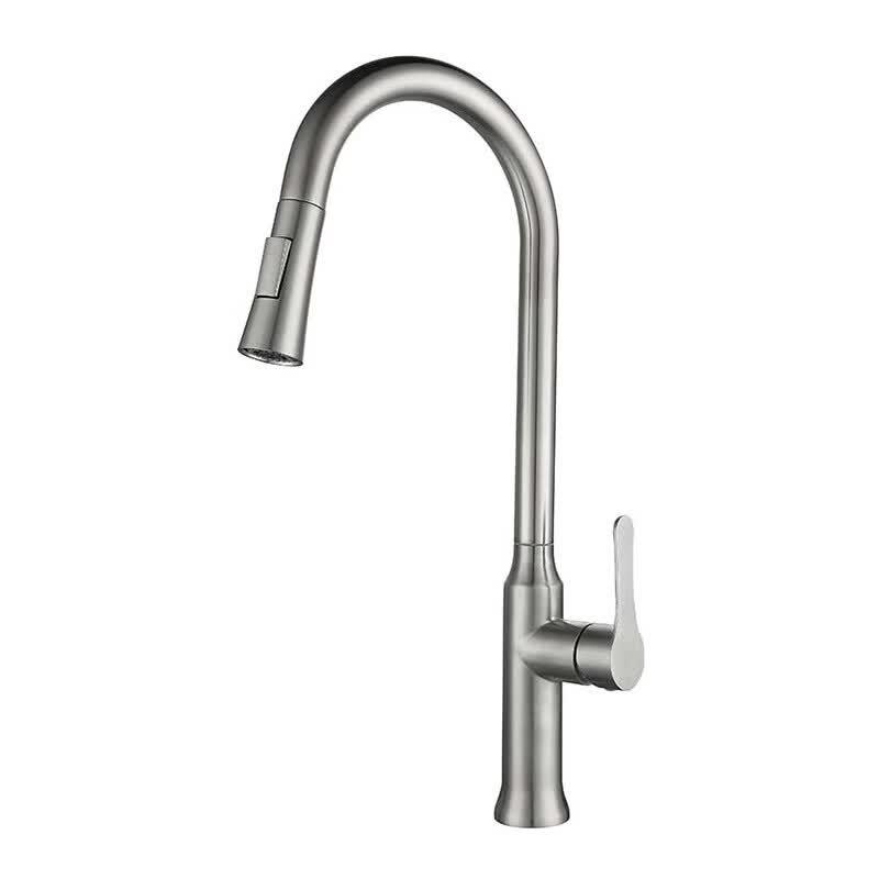 TLXT Brushed Stainless Steel Wall-Mounted Kitchen Faucet