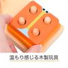 DJECO 1234 Basic Mold Puzzle Baby Educational Toy Wooden Animal Present Montessori 1 Year Old Christmas (DJ06203)